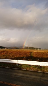 IMG_20171125_153358