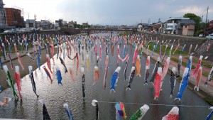 IMG_20180504_165512